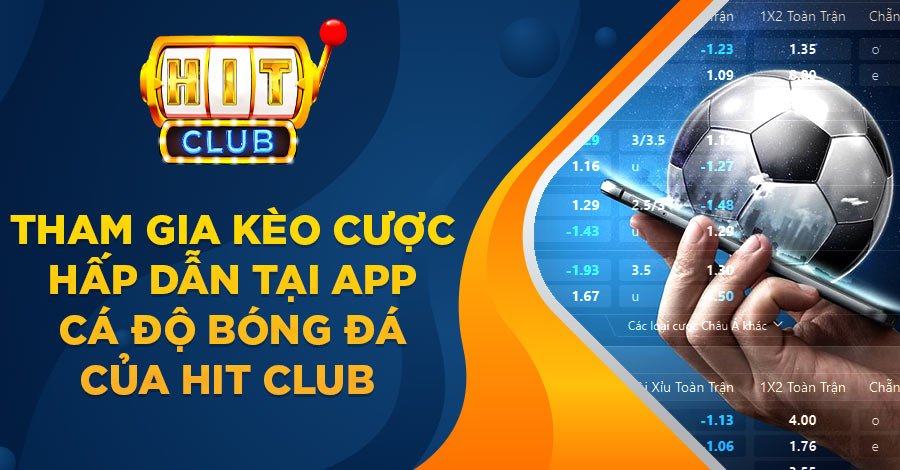app cá độ bóng đá
