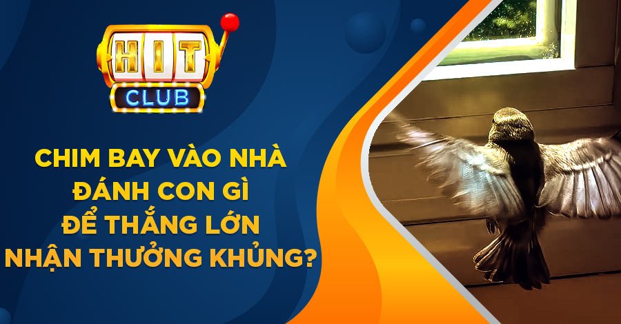 Chim bay vào nhà đánh con gì
