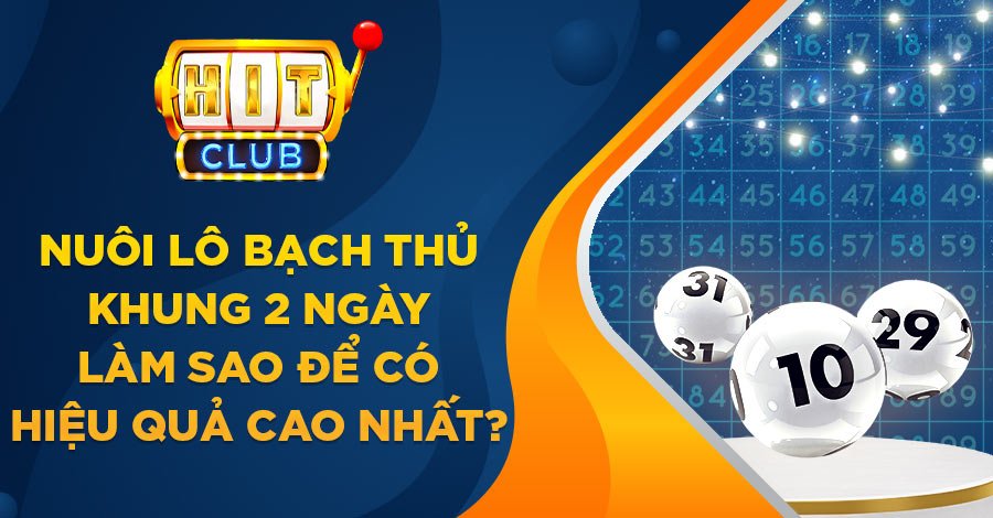 Bạch thủ lô khung 2 ngày