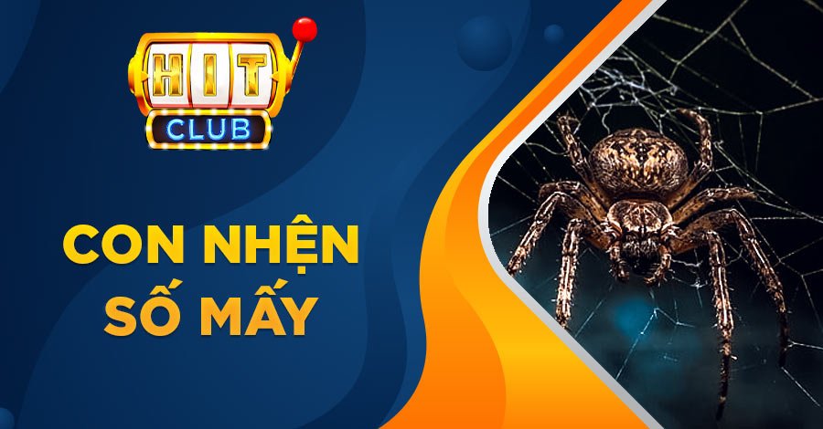 Con nhện số mấy