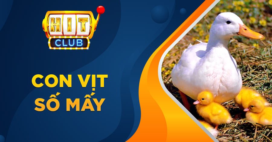 Con vịt số mấy